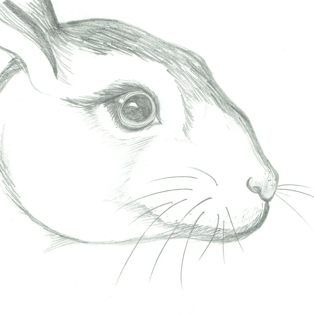 Animalesque Monochrome Rabbit Headdress
