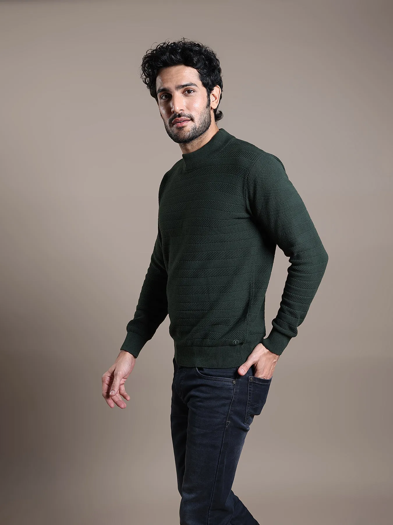 Knitted Dark Green Plain Regular Fit Full Sleeve Casual Pullover