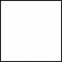 Pearlized White Strips